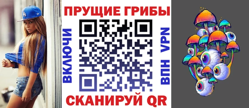 Псилоцибиновые грибы GOLDEN TEACHER  Тайга 
